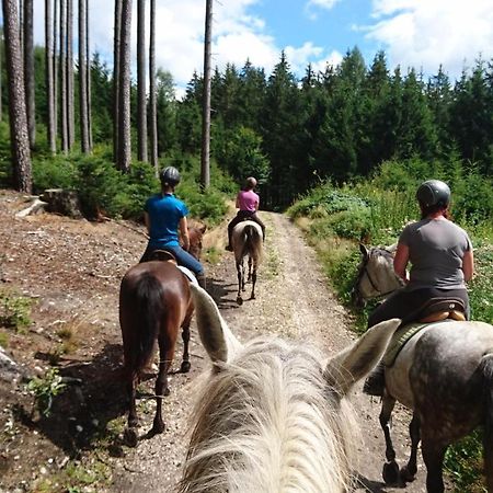 Pferdehof Koaser Minerl Ampflwang im Hausruckwald Dış mekan fotoğraf